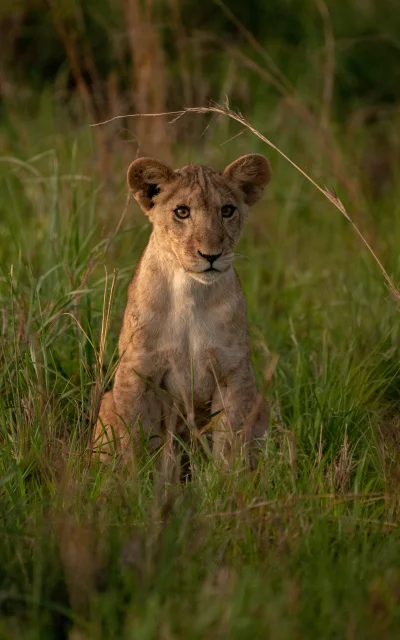 kidepo national park